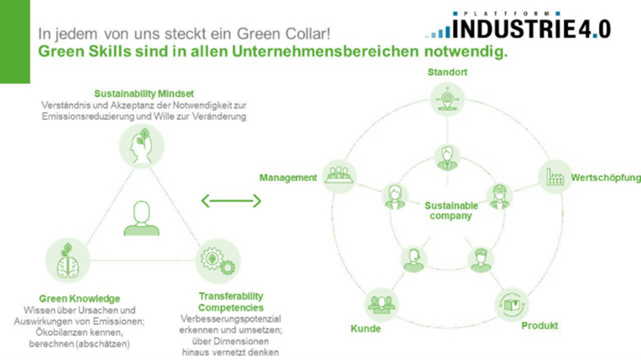 Infografik Green Skills